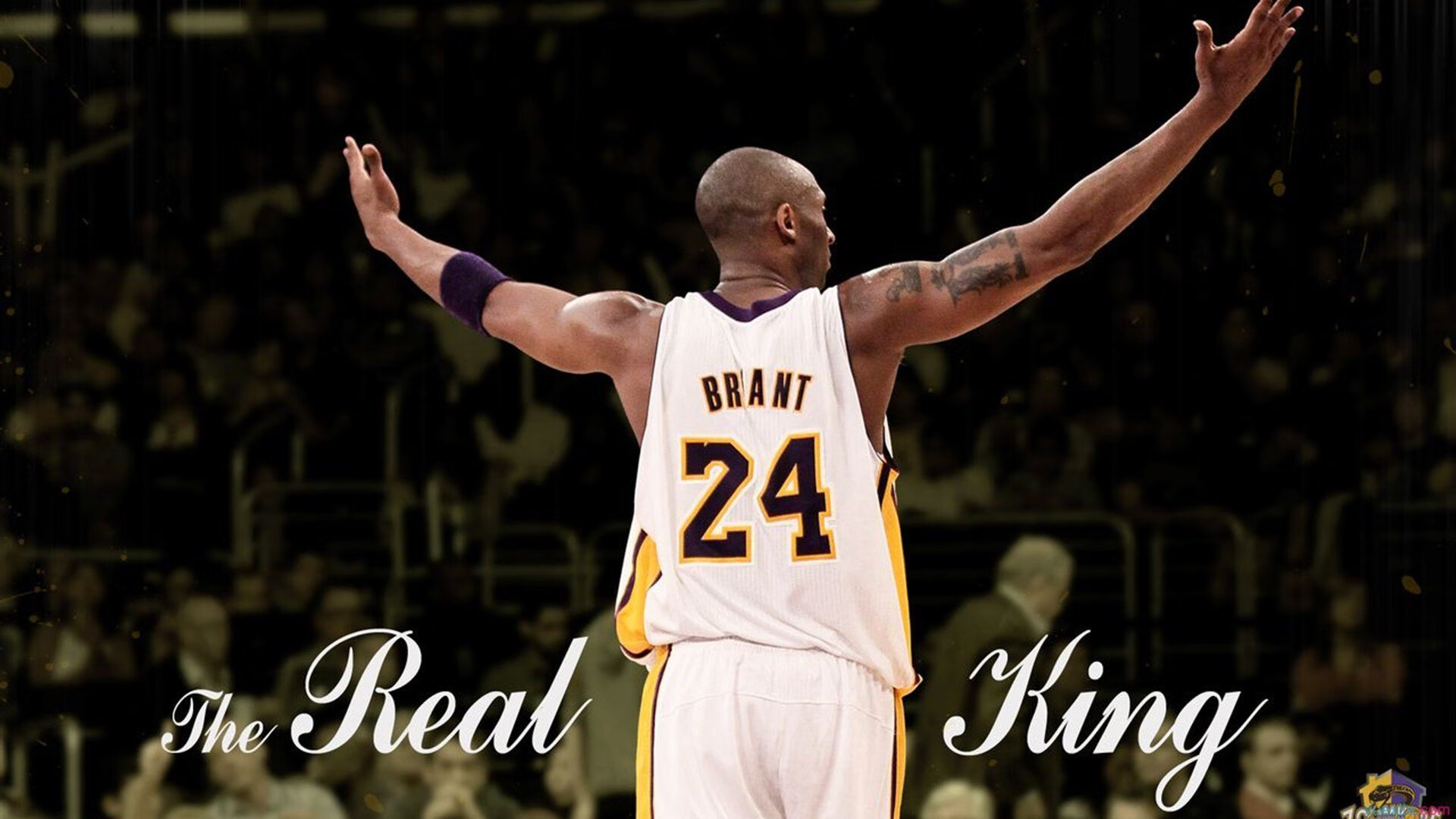 快船队天王合体，期待总冠军再启程，快船组合